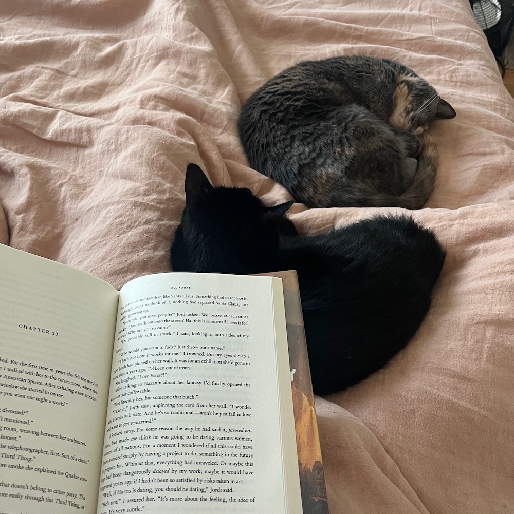 cats